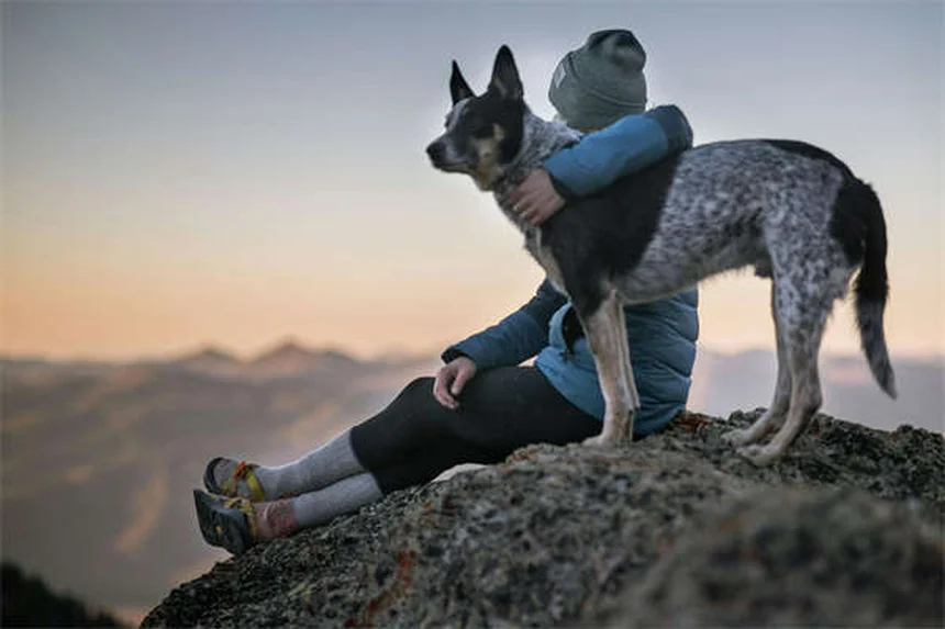 犬のうんち処理のウソとホント、正しい方法知ってる？